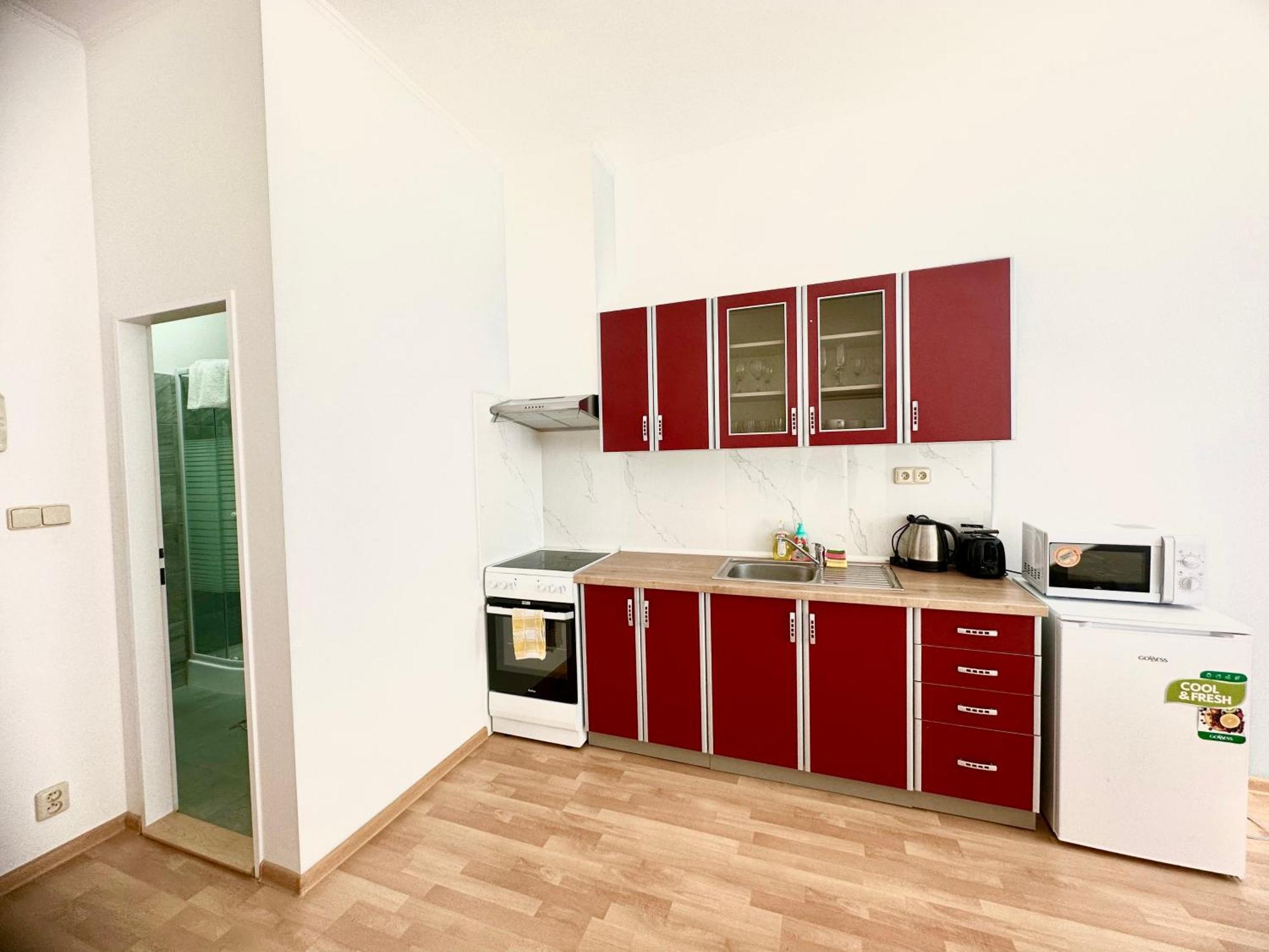 Apartment Erika Карловы Вары Номер фото